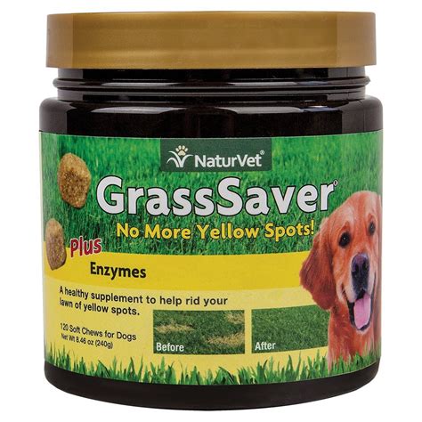 Is Dog Urine Killing Your Grass A Closer Look At 10 Products To Solve It