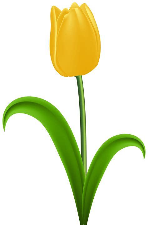 Tulip vector pixel clip art flower decorations and wedding invitation floral design drawing embellishments, tulip colorful flower designs vector. Tulip transparent clip art - ClipartAndScrap