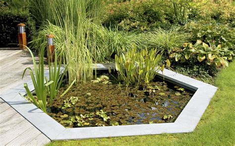 Irgendwie ist viel leben im garten und da wird das biotop im garten für mich zu einem ort der freude. Biotop im Garten anlegen: Umfassende Tipps für das Natur ...