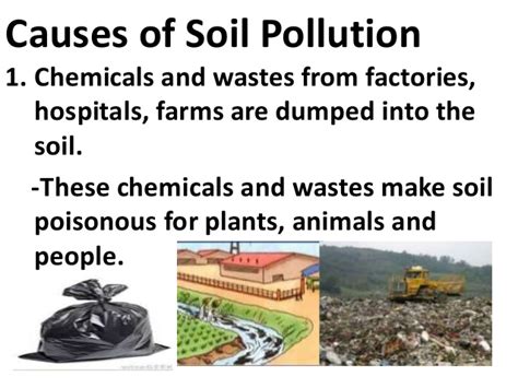 Causes Of Soil Pollution Eschool