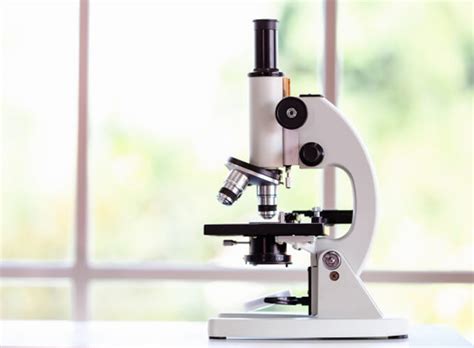 Pengertian Mikroskop Sejarah Jenis Jenisnya Dan Fungsinya The Best