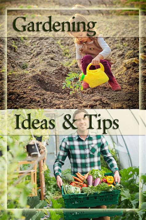 Organic Gardening And You Helpful Tips And Advice Read More Details