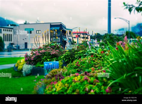 Street Corner Garden Street Scene In Sitka Alaska Usa Stock Photo Alamy