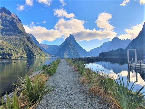 Milford Sound Walkw In Fiordland National Park By Freewalksnz