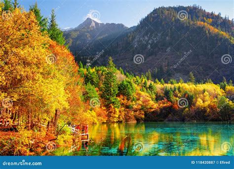 The Five Flower Lake Multicolored Lake Among Autumn Woods Stock Image