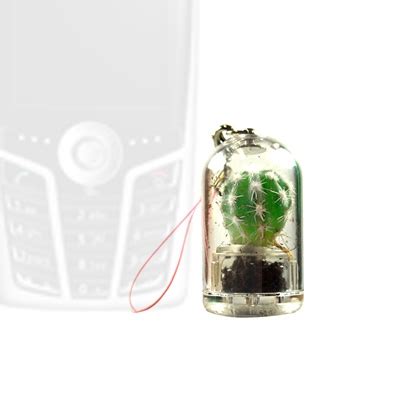 Produzione · importazione · esportazione · ingrosso del bonsai e accessori. Der Werbeartikel-Baum: MicroTree der Mini-Bonsai als ...