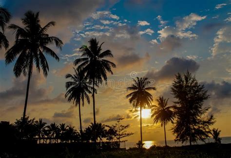 Palm Trees Silhouettes On The Beach At Sunset And Sunrise Stock Photo