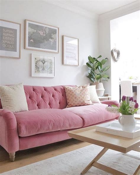 Pink Couch Living Room Ideas Guide Enakhome Com Pink Couch