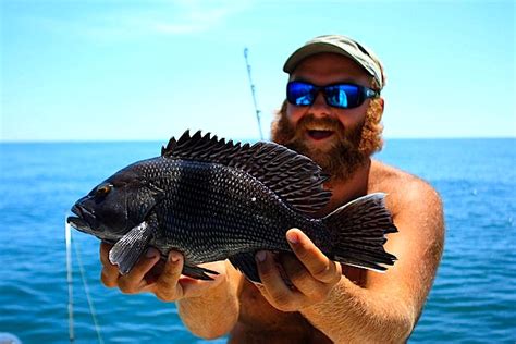 Black Sea Bass Florida Sportsman