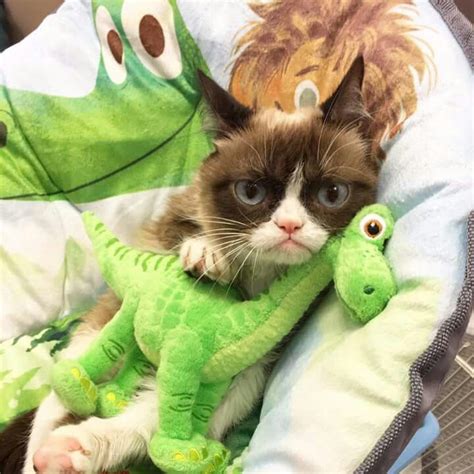 Grumpy Cat With Her Good Dinosaur Toy Funny Grumpy Cat Memes