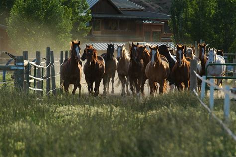 A Wild Western Guest Ranch Vacation And Equestrian Experience In Southern Utah