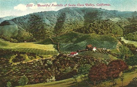 Unless you're an experienced pest control professional, you probably have a few questions about oriental cockroaches in the bay area. The Lost Orchards Of Silicon Valley