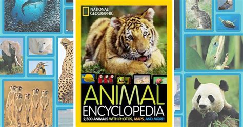 National Geographic Animal Encyclopedia Just 940 Regularly 2495