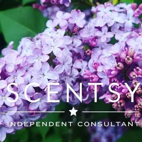 ashley lamb independent scentsy consultant