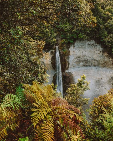 The Most Stunning Waterfalls On The North Island Of New Zealand