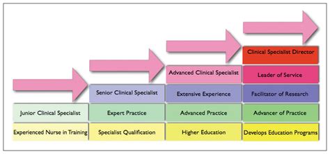 Advancing Nursing Practice The Emergence Of The Role Of Advanced