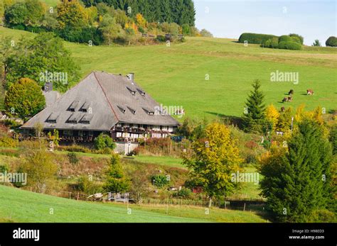 Black Forest House Hi Res Stock Photography And Images Alamy