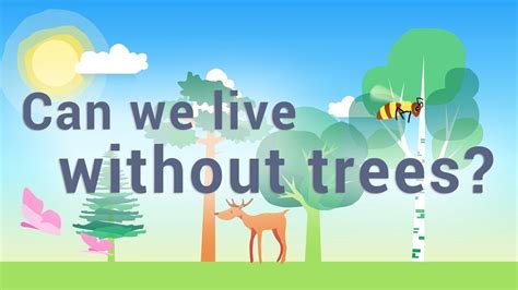 Can We Live Without Trees Uk Best Educational Video All Ages