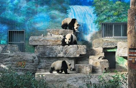 The Ten Best Zoos In The World Hopper Blog