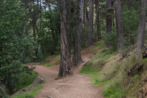 10 Invigorating Hikes In The East Bay Area Territory Supply