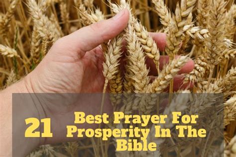 21 Best Prayer For Prosperity In The Bible