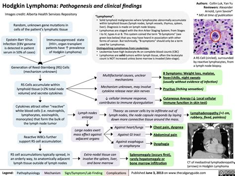 Hodgkin Lymphoma Pathogenesis And Clinical Findings Calgary Guide