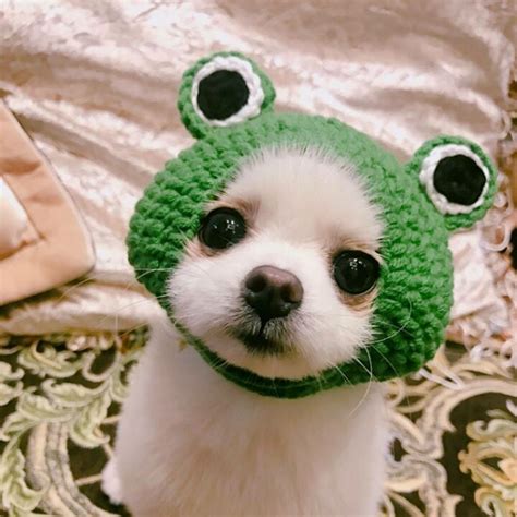 Hot Sale Hand Knitted Pet Hats Frog Hat For Cats Small Dogs Hat Hairband Dog Cap Green Cute Cat