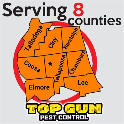 • never look directly into the gun's muzzle. Top Gun Pest Control - Home | Facebook