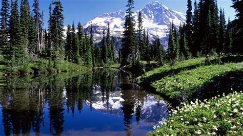 Mount Rainier Wallpaper ·① Wallpapertag