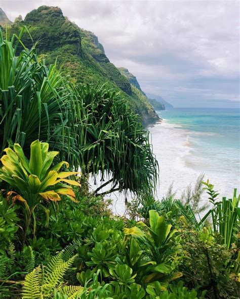Kauai Hawaii The Dramatic Na Pali Coast With Misty Jungle Scenery