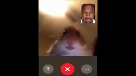 Hamster And Kanyes Awkward Facetime Call Youtube
