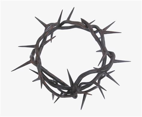 Crown Of Thorns Svg Icons Creative Market