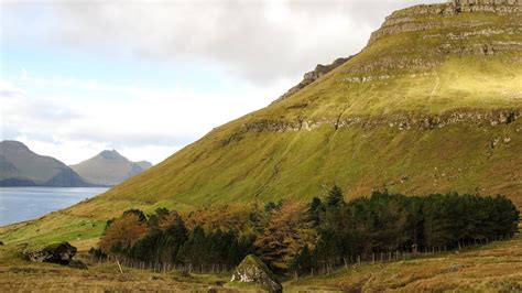 Viðarlundin í Kunoy A Walk Through A Faroese Wood — My Faroe Islands