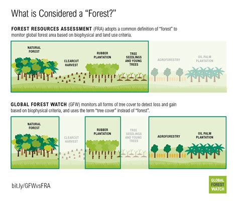 Global Forest Watch And The Forest Resources Assessment Explained In 5