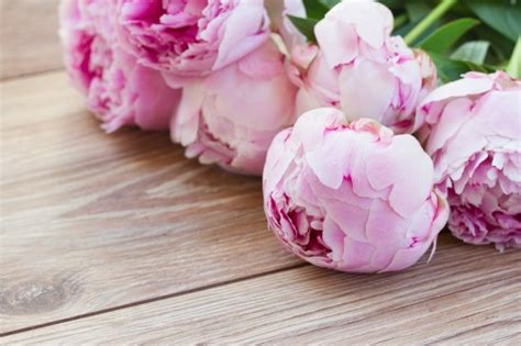 Jul 08, 2021 · adds 17 flower crowns to the game. Making Peony Scented Water | ThriftyFun