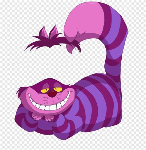 Cheshire Cat Alices Adventures In Wonderland The Mad Hatter Wonderland Alicja W Krainie