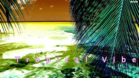 Tropical Vibes Video Hd 1080p Youtube