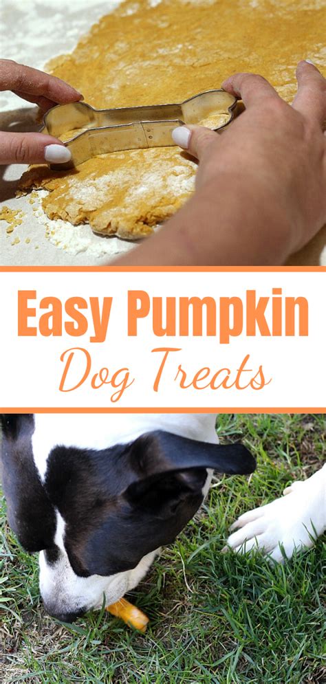 This Easy Pumpkin Dog Treat Recipe Is Perfect To Make For Your Dog