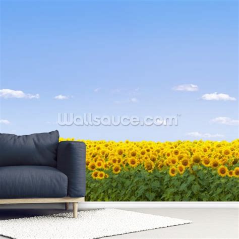 Sunflowers Wallpaper Wallsauce Uk