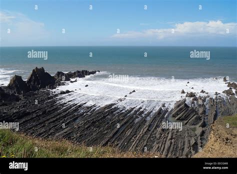 Wave Cut Platform On North Devon Coast Uk Stock Photo Alamy