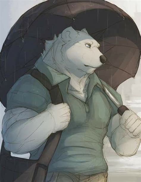 pin by kelly minchew on fantasy bear pictures anthro furry furry art bear character design
