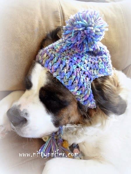 Crochet Pattern For Dog Hat With Ear Holes
