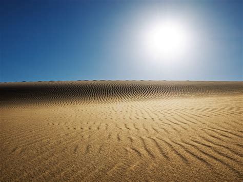 Sunny Desert Wallpapers Hd Wallpapers Id 10682