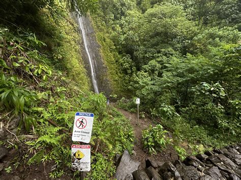 Hiking The Mānoa Falls Trail On Oʻahu — Noahawaii