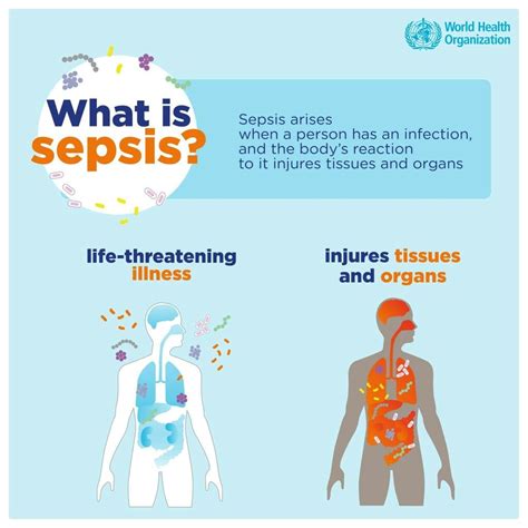 Your body's defense system normally releases chemicals to fight off infection at the infected. -World Health Organisation (WHO)- | Hand hygiene, Sepsis ...