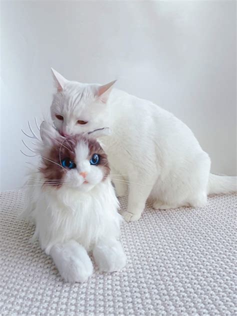 100 Handmade Cute Realistic Ragdoll Cat Plush Toycat Stuffed Etsy