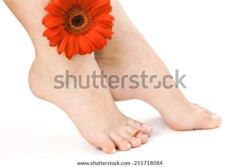 Sexy Female Naked Feet With French Pedicure Over White Background With Red Gerbera