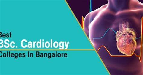 Career And Scope Bsc Cardiac Care Technology Colleges In Bangalore