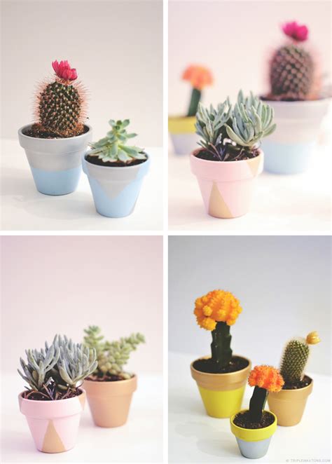 Diy Painted Terracotta Pots With Succulents And Cacti Triple Max Tons