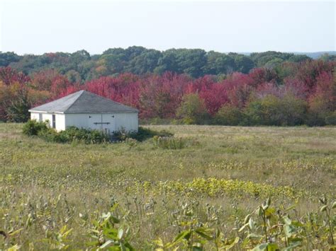 Wells Reserve At Laudholm Maine Trail Finder